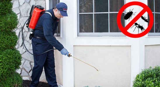 Tuzlukçu Akrep İlaçlama böcek ilaçlama ve haşere kontrolü — ilaclama-tr.com